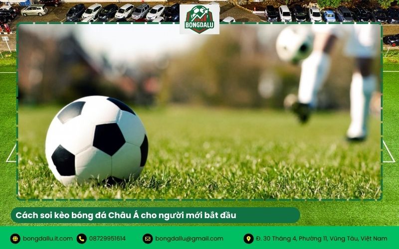 Cách soi kèo bóng đá Châu Á cho người mới bắt đầu