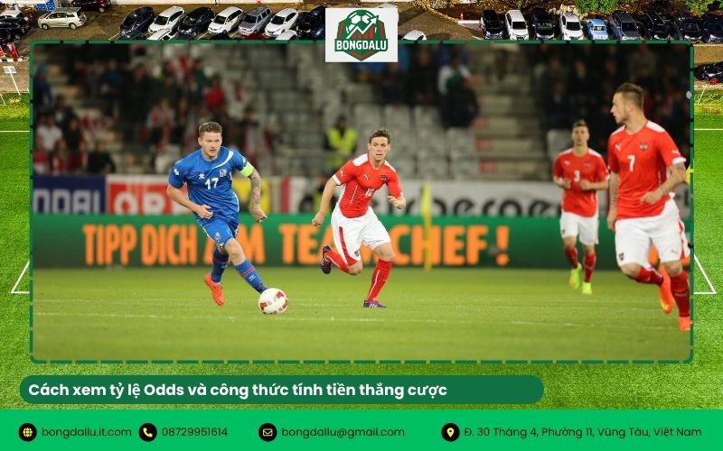 Cách xem tỷ lệ Odds và công thức tính tiền thắng cược