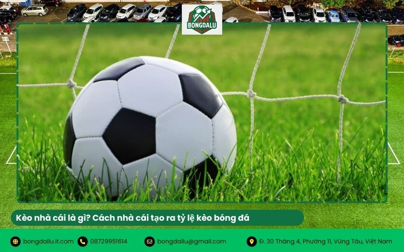 Kèo nhà cái là gì? Cách nhà cái tạo ra tỷ lệ kèo bóng đá