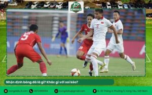 Nhận định bóng đá là gì? Khác gì với soi kèo?