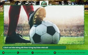 Những sai lầm chết người khi soi kèo bóng đá và cách tránh