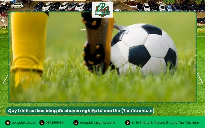 Quy trình soi kèo bóng đá chuyên nghiệp từ cao thủ (7 bước chuẩn)