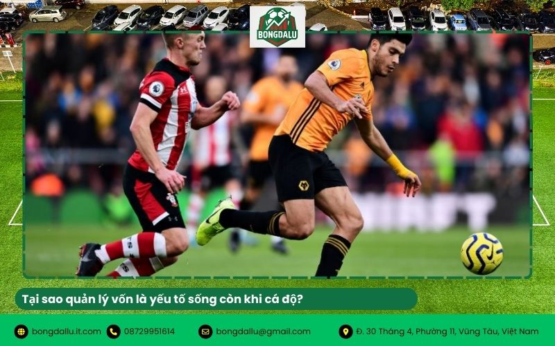 Tại sao quản lý vốn là yếu tố sống còn khi cá độ?