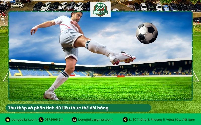 Thu thập và phân tích dữ liệu thực thể đội bóng