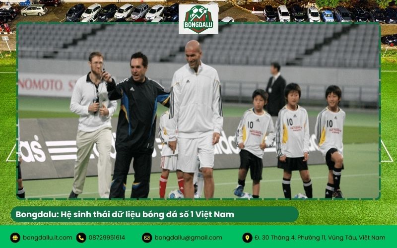 hệ sinh thái bóng đá