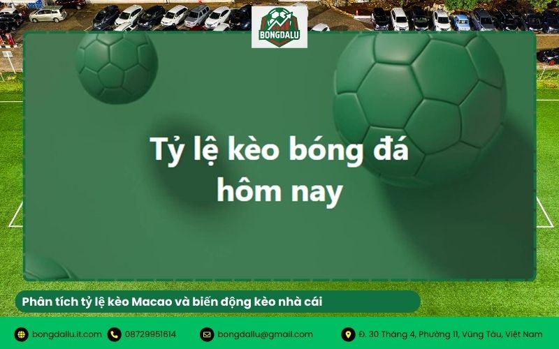 phân tích tỷ lệ kèo