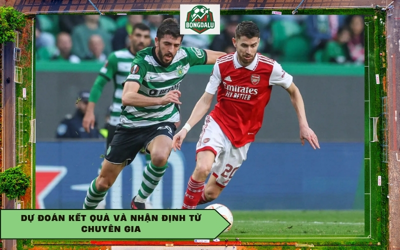 Dự đoán kết quả và nhận định từ chuyên gia