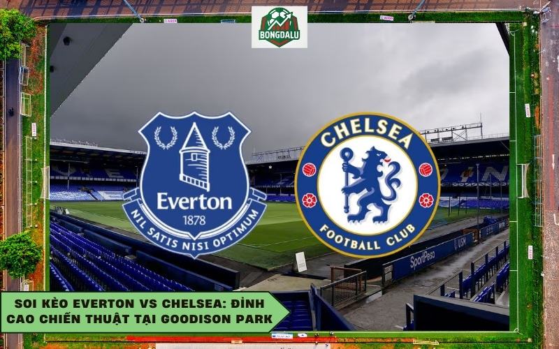 Soi Kèo Everton Vs Chelsea: Đỉnh Cao Chiến Thuật Tại Goodison Park