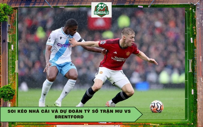 Soi kèo nhà cái và dự đoán tỷ số trận MU vs Brentford