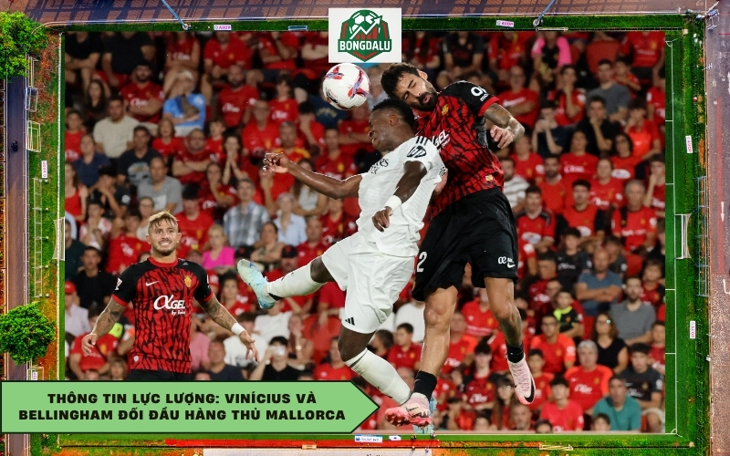 Thông tin lực lượng: Vinícius và Bellingham đối đầu hàng thủ Mallorca